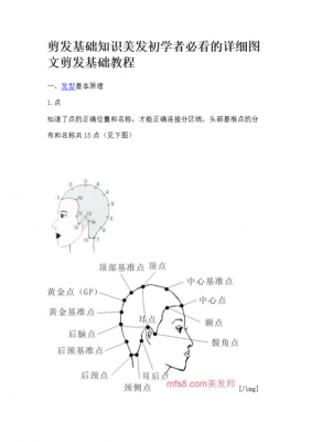 剪发科技知识（剪发科技知识有哪些）-图1