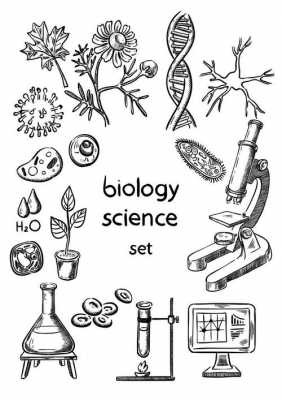 生物科技知识图谱怎么画（生物科技简笔画）-图1