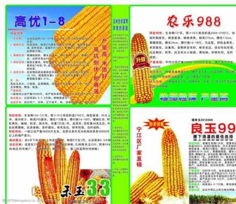 玉米种植科技知识宣传标语（玉米种宣传画）-图1