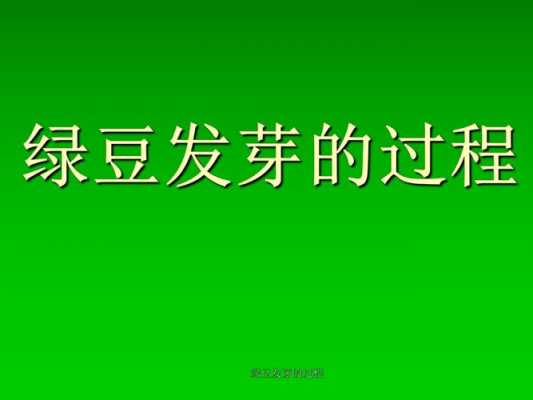 豆芽生产科技知识讲座内容（豆芽生产科技知识讲座内容有哪些）-图1