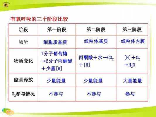 有氧呼吸科技知识竞赛（有氧呼吸课程）-图1