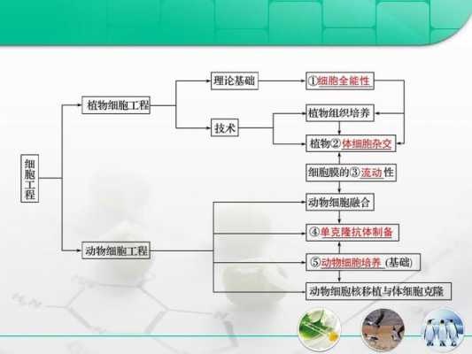 生物方面的科技知识（生物方面的科技知识有哪些）-图3