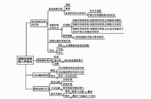 高考生物现代生物科技知识点（高中生物现代生物科技专题思维导图）-图2