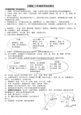 三年级科技知识重点归纳（三年级科技知识重点归纳总结）-图1