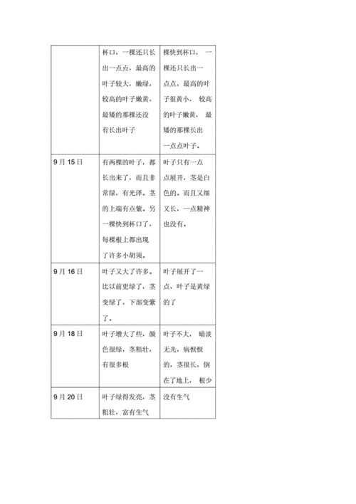 豆芽生产科技知识培训总结（豆芽生产科技知识培训总结报告）-图3