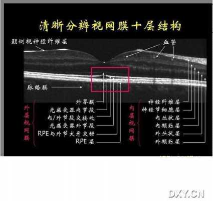 眼科视网膜复位科技知识（眼科视网膜复位科技知识点总结）-图1