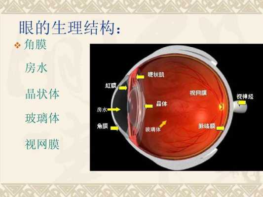 眼科视网膜复位科技知识（眼科视网膜复位科技知识点总结）-图2