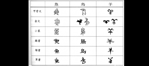 文字演变中的科技知识（文字演变中的科技知识有哪些）-图1