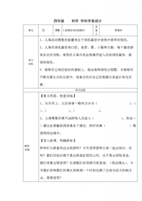 清洗东西的科技知识教案（清洗食物教案）-图3