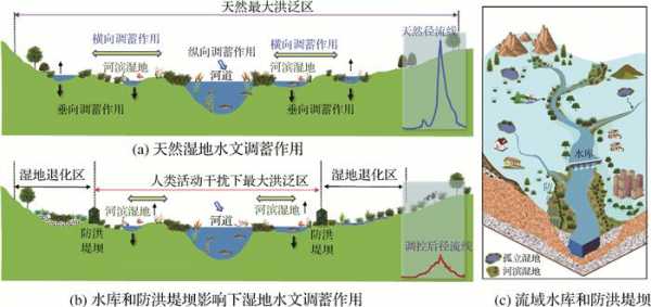 湿地科技知识点总结图（湿地科技知识点总结图片大全）-图3