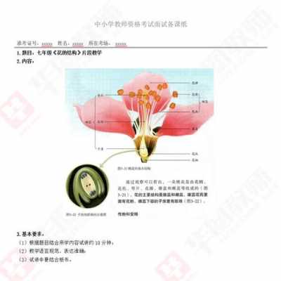 教资考试科技知识（教师资格证科学学科知识与能力试题）-图1