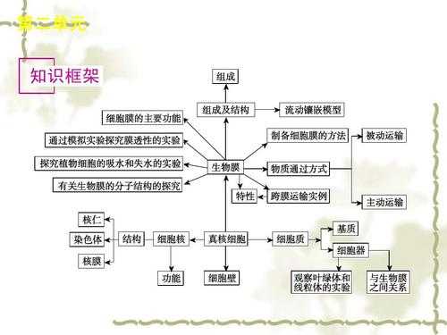 细胞核相关科技知识点（细胞核的知识网络导图）-图2