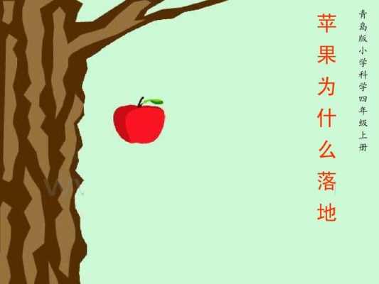 与苹果相关的科技知识（苹果的相关科学知识）-图1