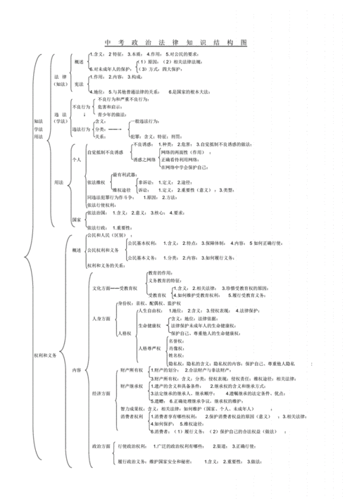 政治法律科技知识点总结（政治的法律知识）-图3