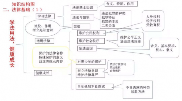 政治法律科技知识点总结（政治的法律知识）-图2