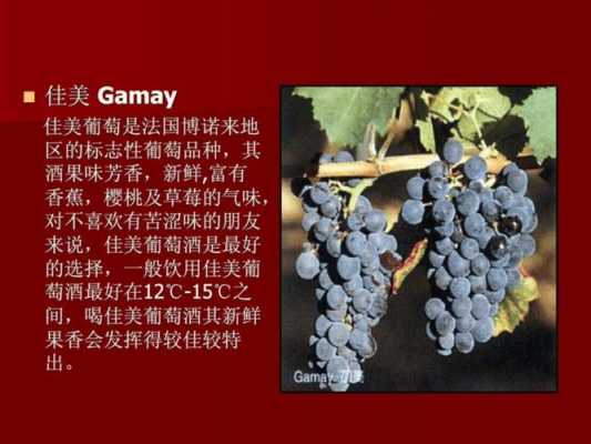 酿酒葡萄种植科技知识宣传（酿酒葡萄栽培技术）-图2