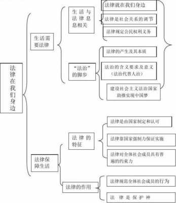 政治法律科技知识点（政治的法律知识）-图1