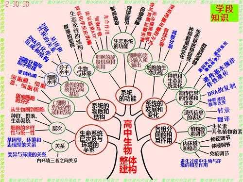 科技知识树小说（科技树txt）-图1