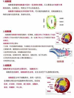 提干科技知识指的是什么（提干科技知识指的是什么呢）-图3