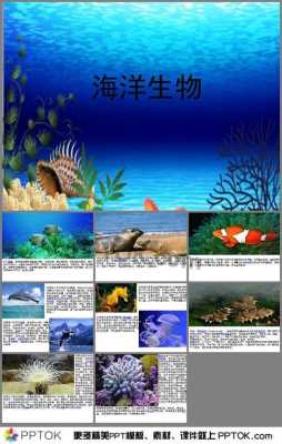 海洋科技知识科学养殖（海洋生物养殖）-图2