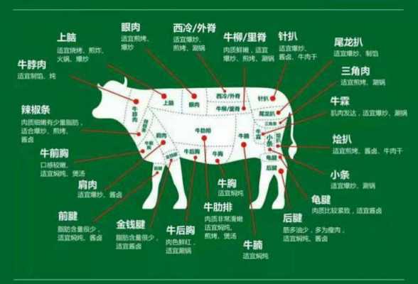 牛肉制作科技知识点总结（牛肉制造）-图1