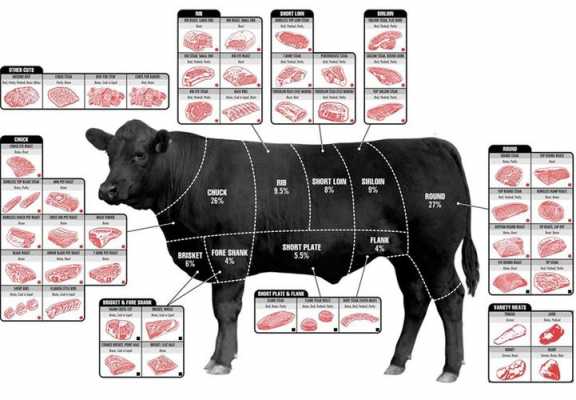 牛肉制作科技知识点总结（牛肉制造）-图2