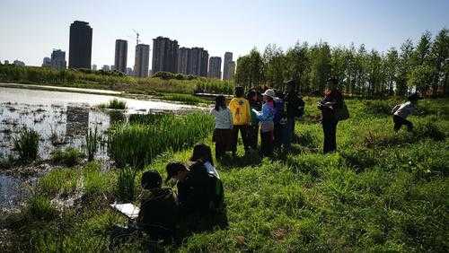 湿地科技知识讲座方案（湿地科普活动课程设计）-图2