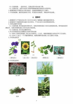 植物科技知识（植物科技知识大全）-图2