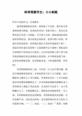 科技知识论文观察蚂蚁（关于蚂蚁的科学小论文400字）-图3