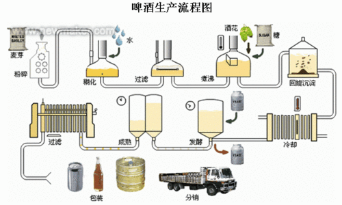 啤酒制作科技知识大全视频（制作啤酒的过程很简单的）-图3