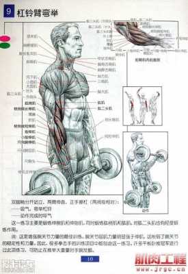 练肌肉有哪些科技知识呢（练肌肉有哪些科技知识呢图片）-图3