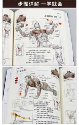 练肌肉有哪些科技知识呢（练肌肉有哪些科技知识呢图片）-图1