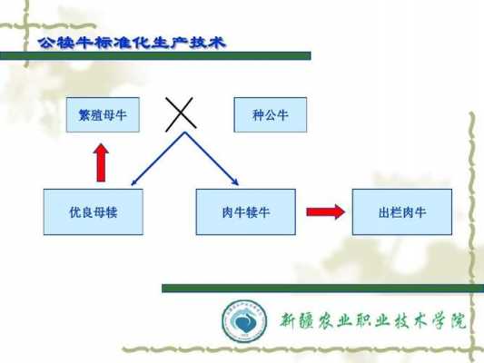 育肥肉牛犊科技知识（育肥肉牛犊科技知识讲解）-图1