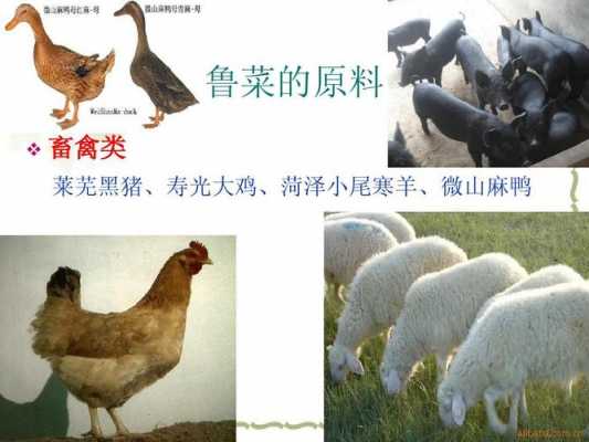 煮羊肉的科技知识教案及反思（煮羊肉过程）-图1