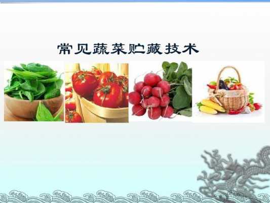 蔬菜贮存中的科技知识（蔬菜贮存中的科技知识是什么）-图1