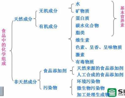 制备食物的科技知识点总结（制备食物的科技知识点总结图）-图1