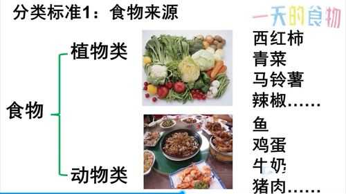 制备食物的科技知识点总结（制备食物的科技知识点总结图）-图2