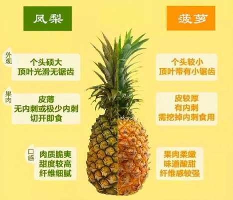 关于菠萝的健康科技知识（关于菠萝的知识点）-图3