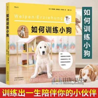 训练幼犬科技知识的书籍有哪些（小狗技能训练）-图2