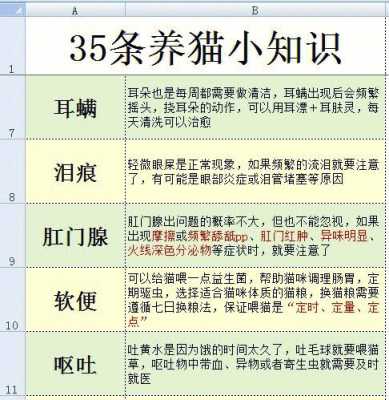 养猫必备科技知识大全（养猫必备科技知识大全）-图2