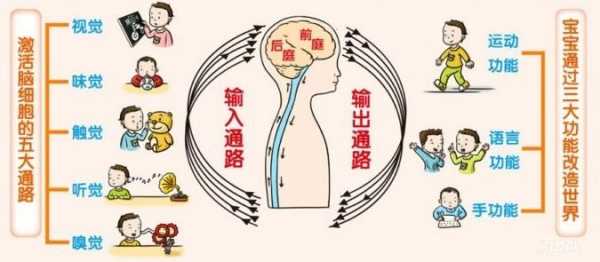 如何保护孩子的黑科技知识（如何科学保护孩子的大脑）-图1