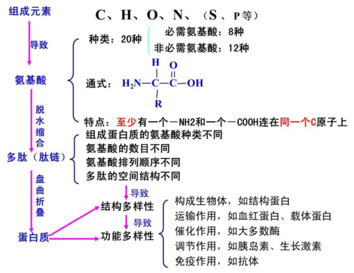 蛋白质的应用科技知识（蛋白质的应用有哪些）-图3