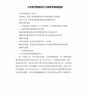 科技知识小学教案模板范文（小学科技课程内容教案）-图1