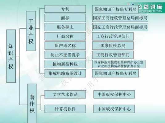 网络科技知识产权费用（网络知识产权侵权范围）-图3