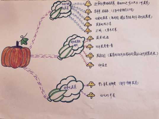 调味料的科技知识教案反思（调味料的科技知识教案反思中班）-图3