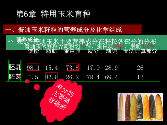 关于玉米的高科技知识资料（关于玉米的高科技知识资料图片）-图2