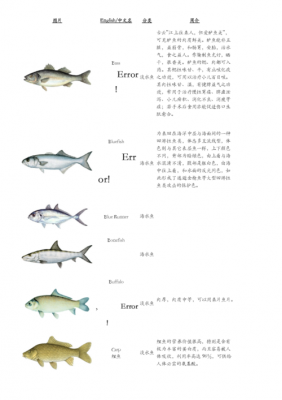关于鱼的科技知识大全简单（关于鱼的科普小知识）-图1