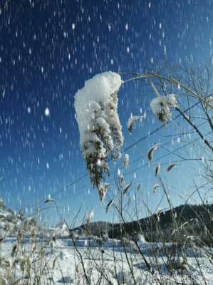 漫天雪花背后的科技知识（漫天漫地的雪花）-图1