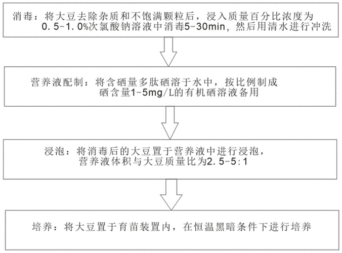 豆芽生产科技知识点大全（豆芽具体生产方法是怎样的）-图2