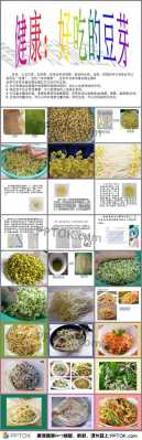 豆芽生产科技知识点大全（豆芽具体生产方法是怎样的）-图3